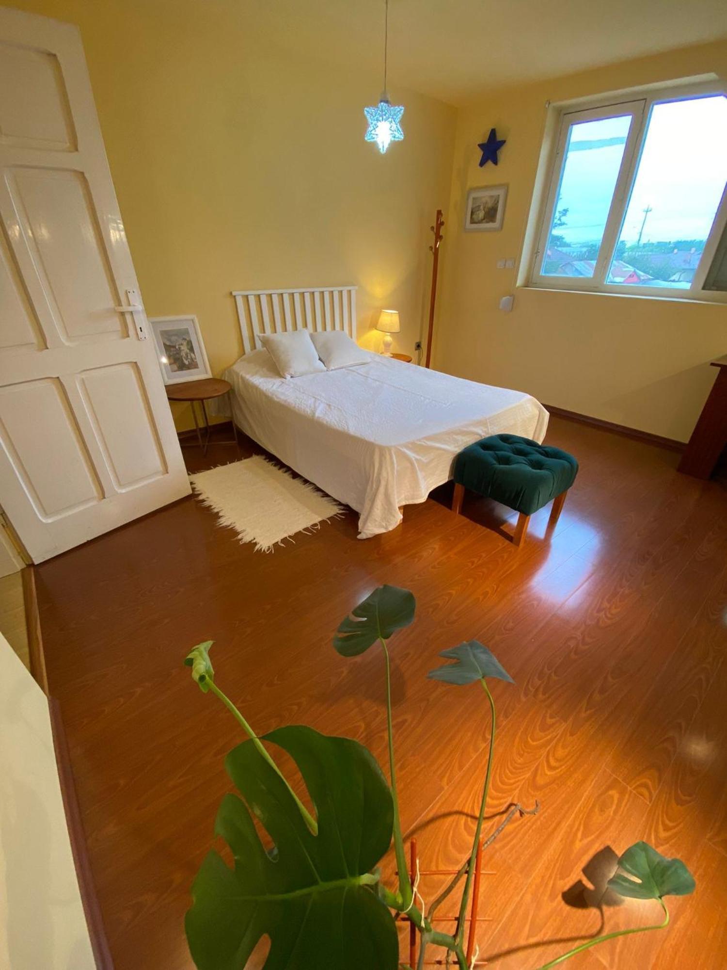 Cosy Bedroom For 2 With Balcony In A Family Villa Turnu Măgurele Extérieur photo