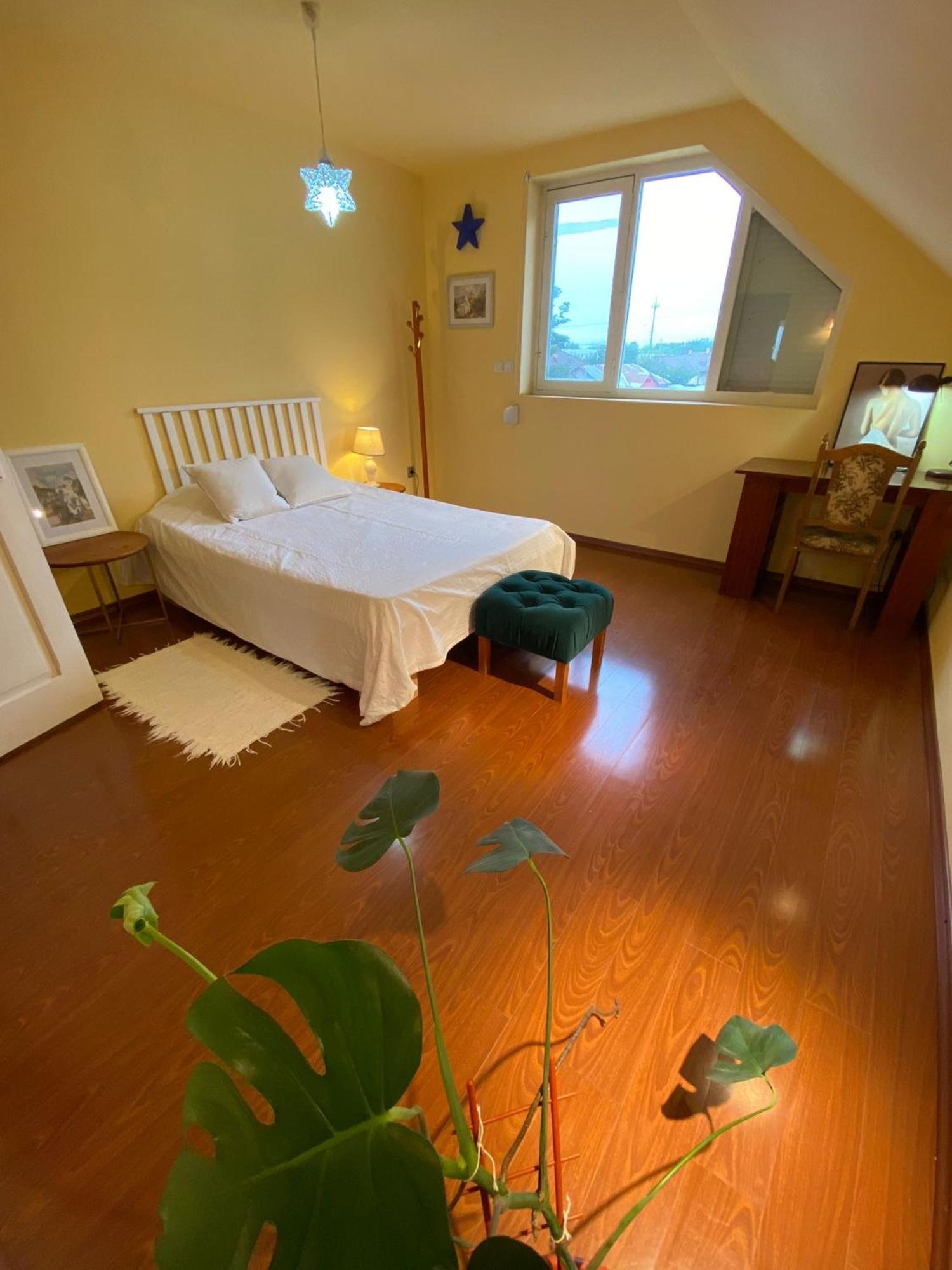 Cosy Bedroom For 2 With Balcony In A Family Villa Turnu Măgurele Extérieur photo